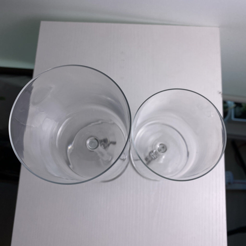 Schott Zwiesel Modo clear Tritan crystal wine glass and water goblet stemware set