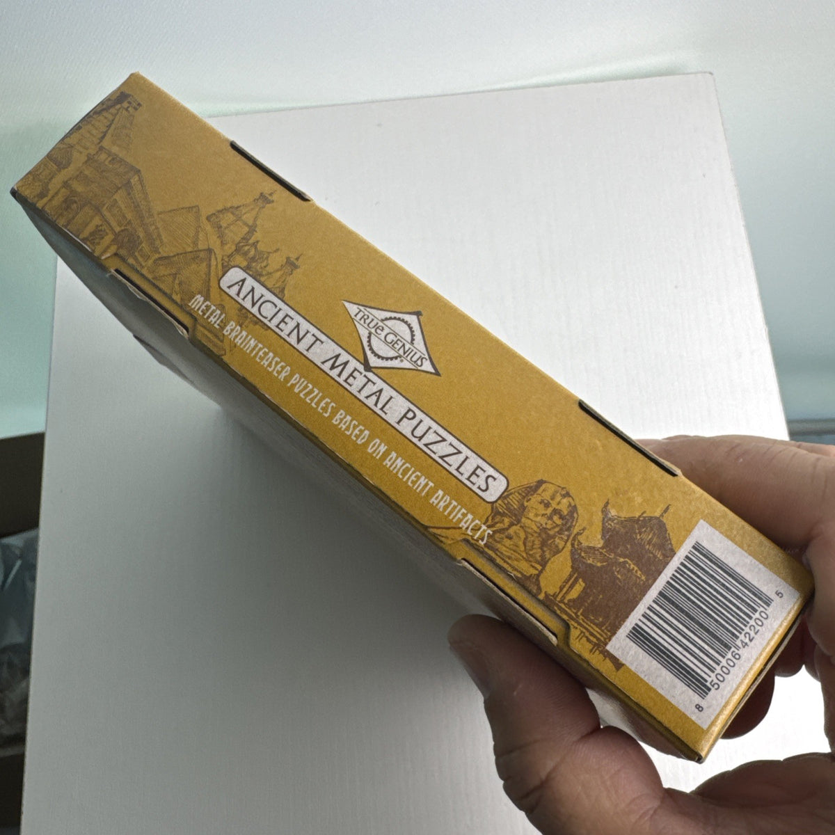 True Genius Ancient Metal Puzzles 12-piece wire brain teaser set in original packaging