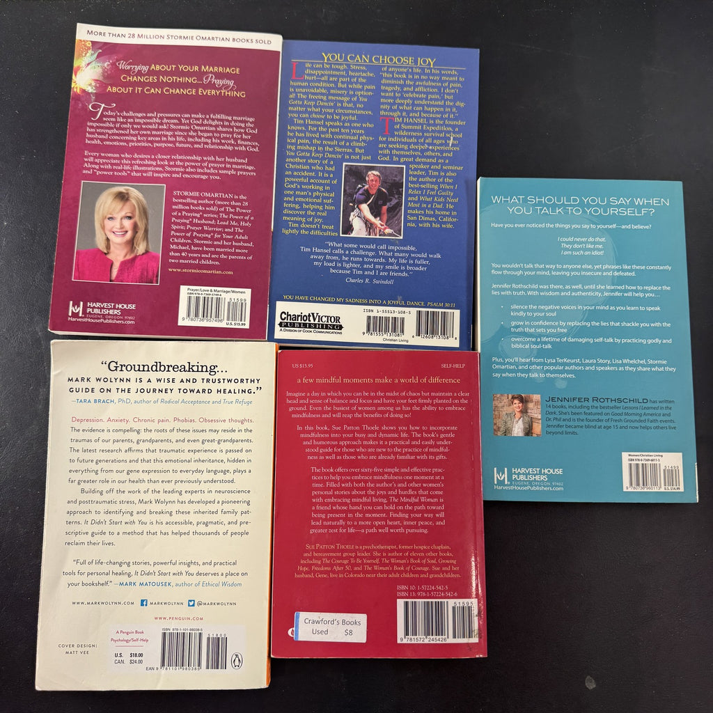Curated 5-book lot of Christian mindfulness and healing paperbacks including It Didn't Start With You.
