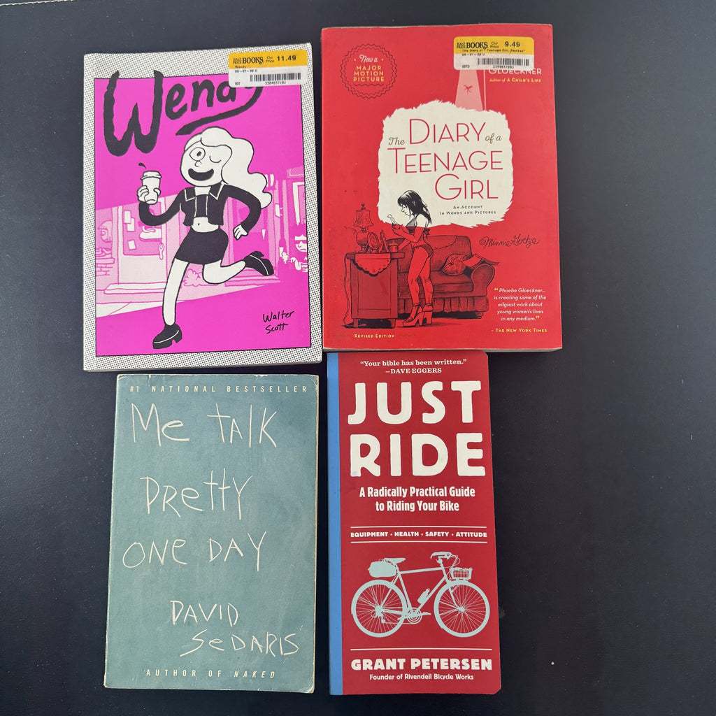 Set of four alternative paperback books including Me Talk Pretty One Day and The Diary of a Teenage Girl.