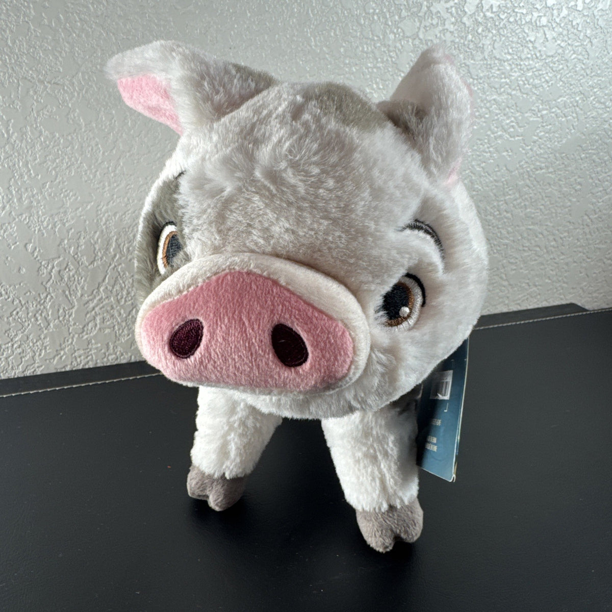 Official Disney Store 10-inch standing Pua pig plush from Moana with original tags attached.