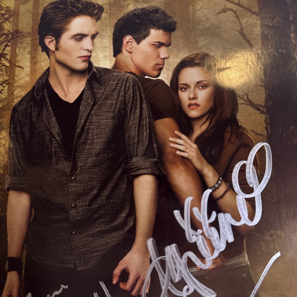 Original 2009 Twilight New Moon promotional 11x17 poster signed in silver marker by cast members.