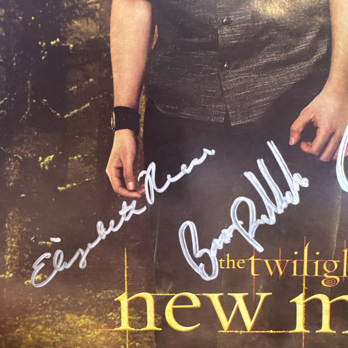 Original 2009 Twilight New Moon promotional 11x17 poster signed in silver marker by cast members.