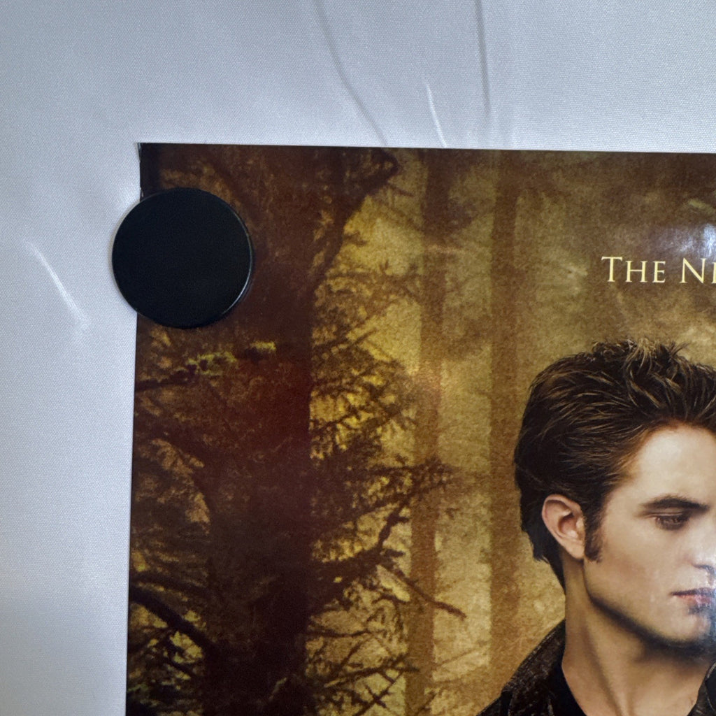 Original 2009 Twilight New Moon promotional 11x17 poster signed in silver marker by cast members.