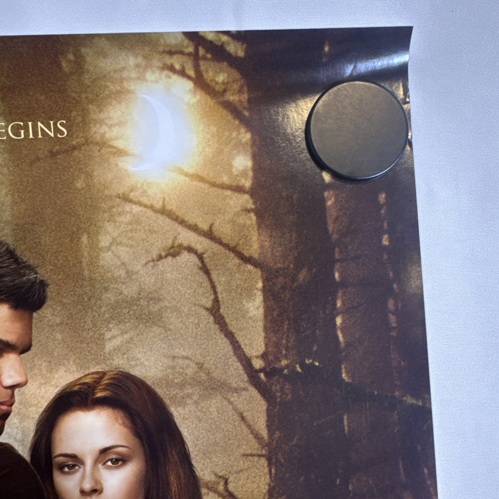 Original 2009 Twilight New Moon promotional 11x17 poster signed in silver marker by cast members.