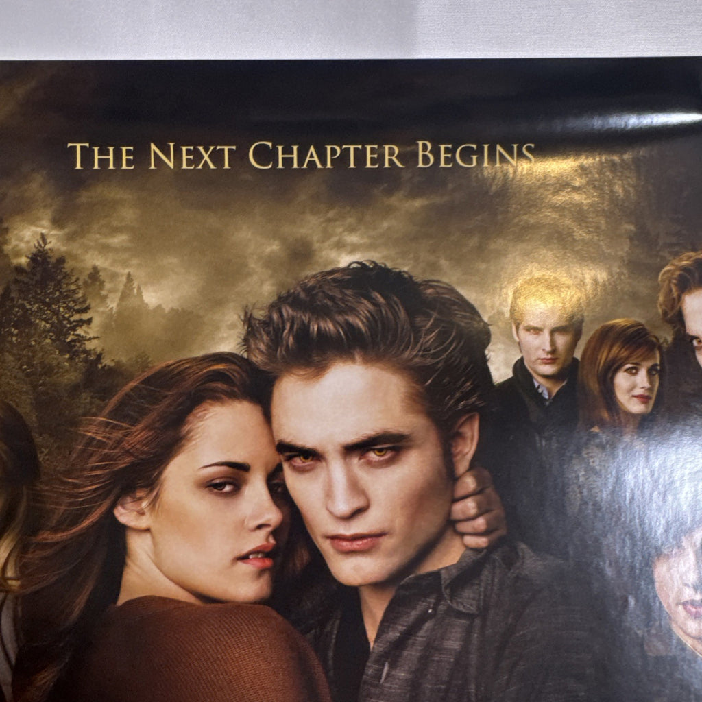 11x17 Twilight New Moon promotional poster signed in silver marker by Ashley Greene and Kellan Lutz.