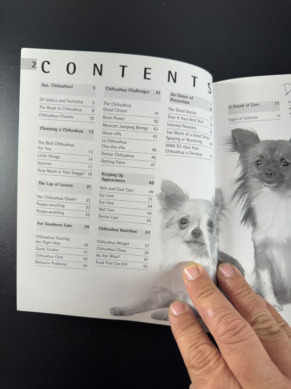 Front cover of Chihuahuas A Complete Pet Owner's Manual paperback book by D. Caroline Coile Barron's 1995