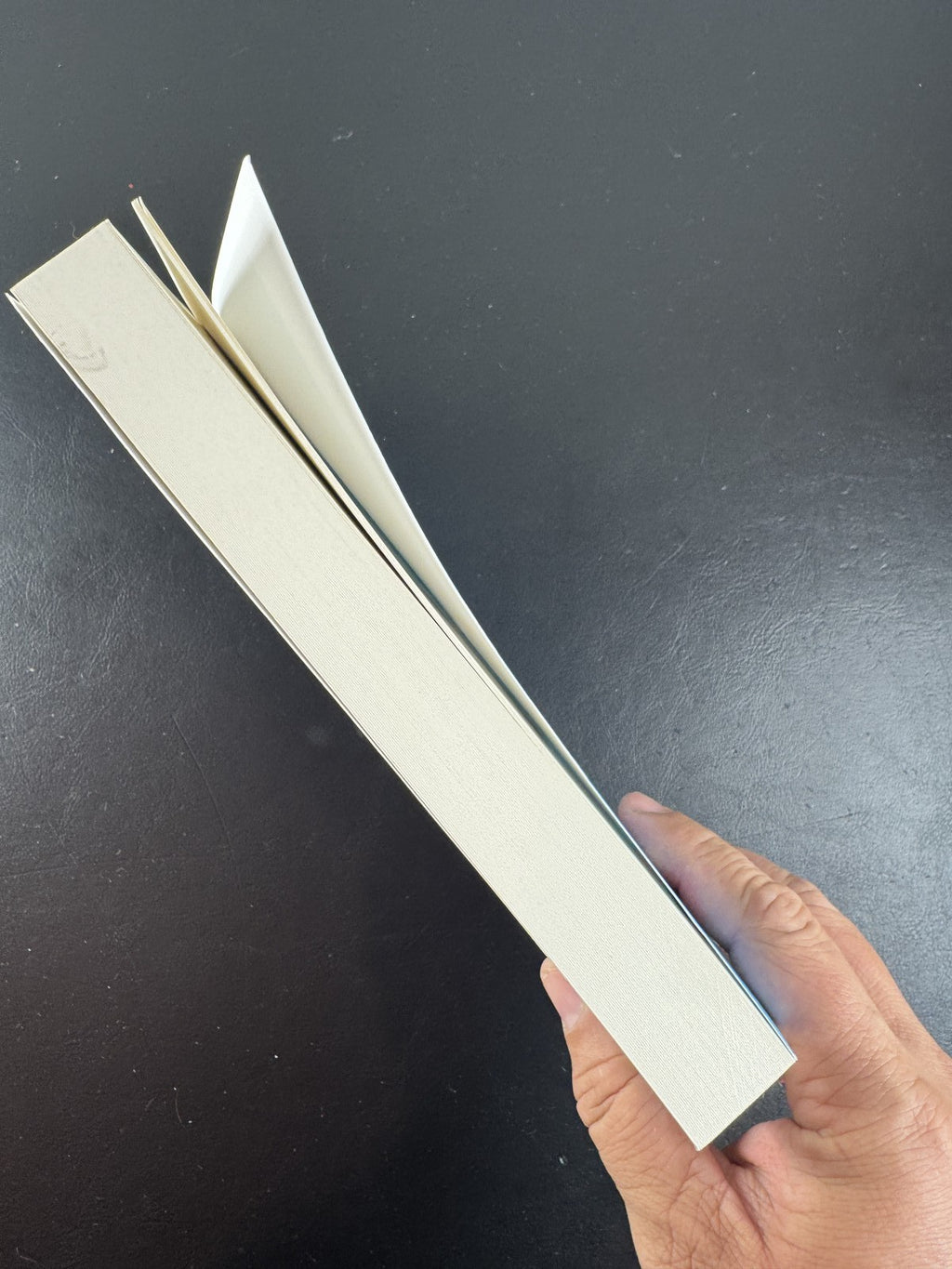 Front cover of The Big Great paperback novel by Jenny Peterson in very good pre-owned condition