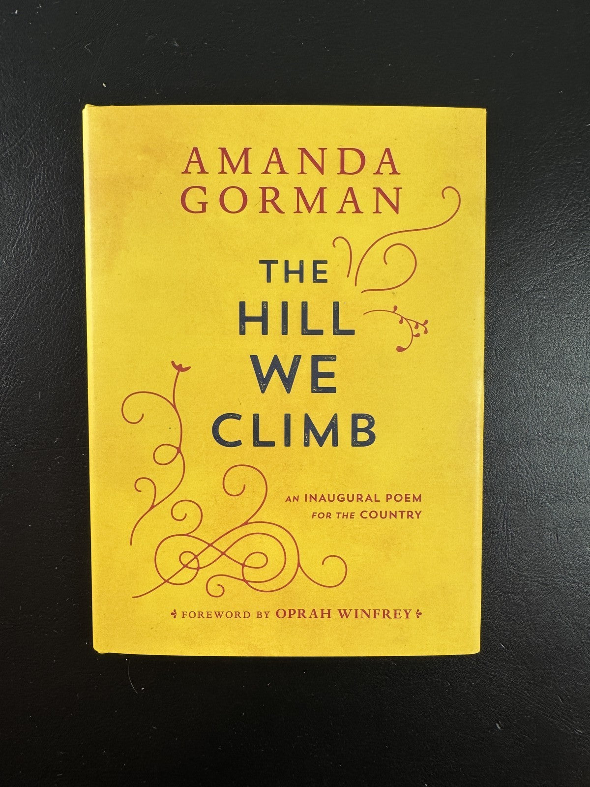 Front cover of Amanda Gorman's hardcover poetry book, The Hill We Climb, 2021 Viking first edition.