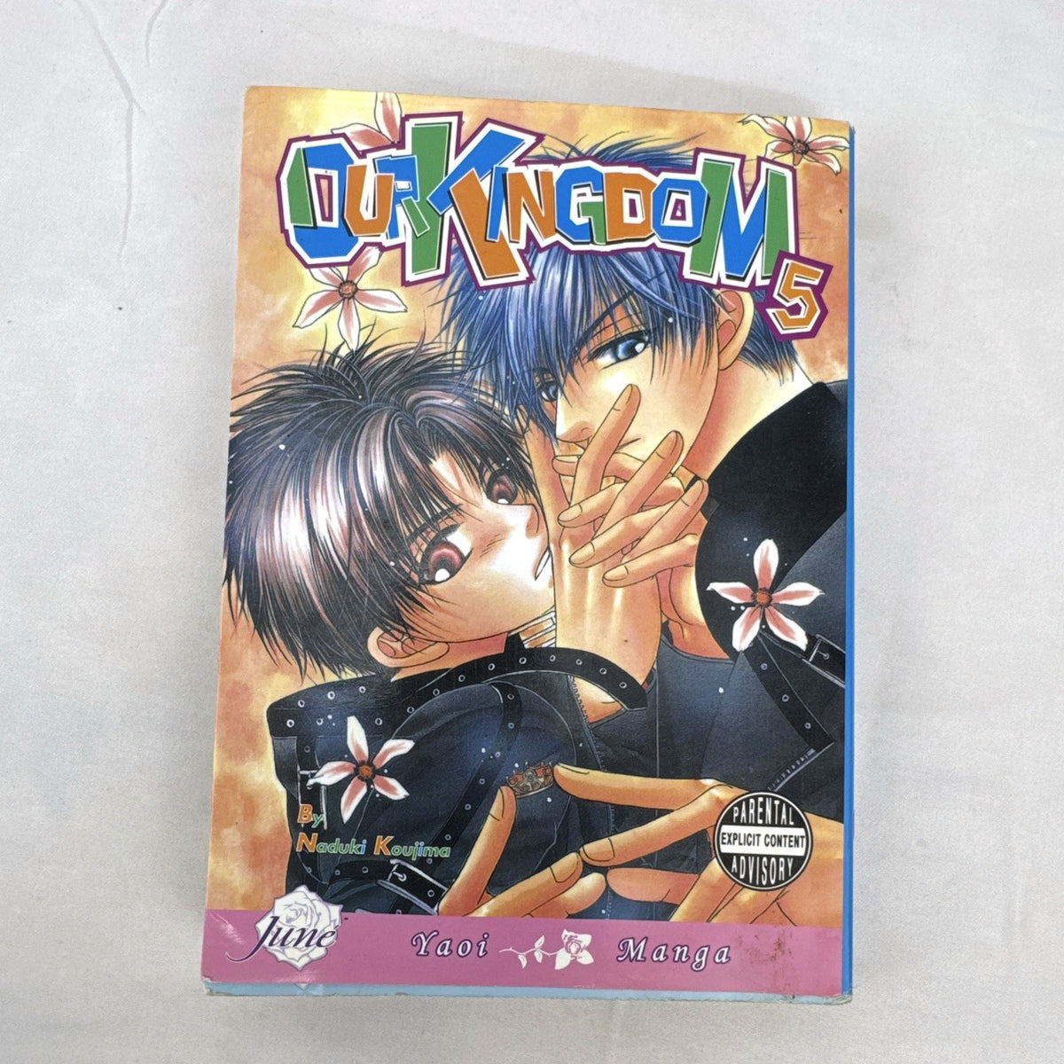 Front cover of Our Kingdom Volume 5 English manga graphic novel by Naduki Koujima published by DMP June imprint