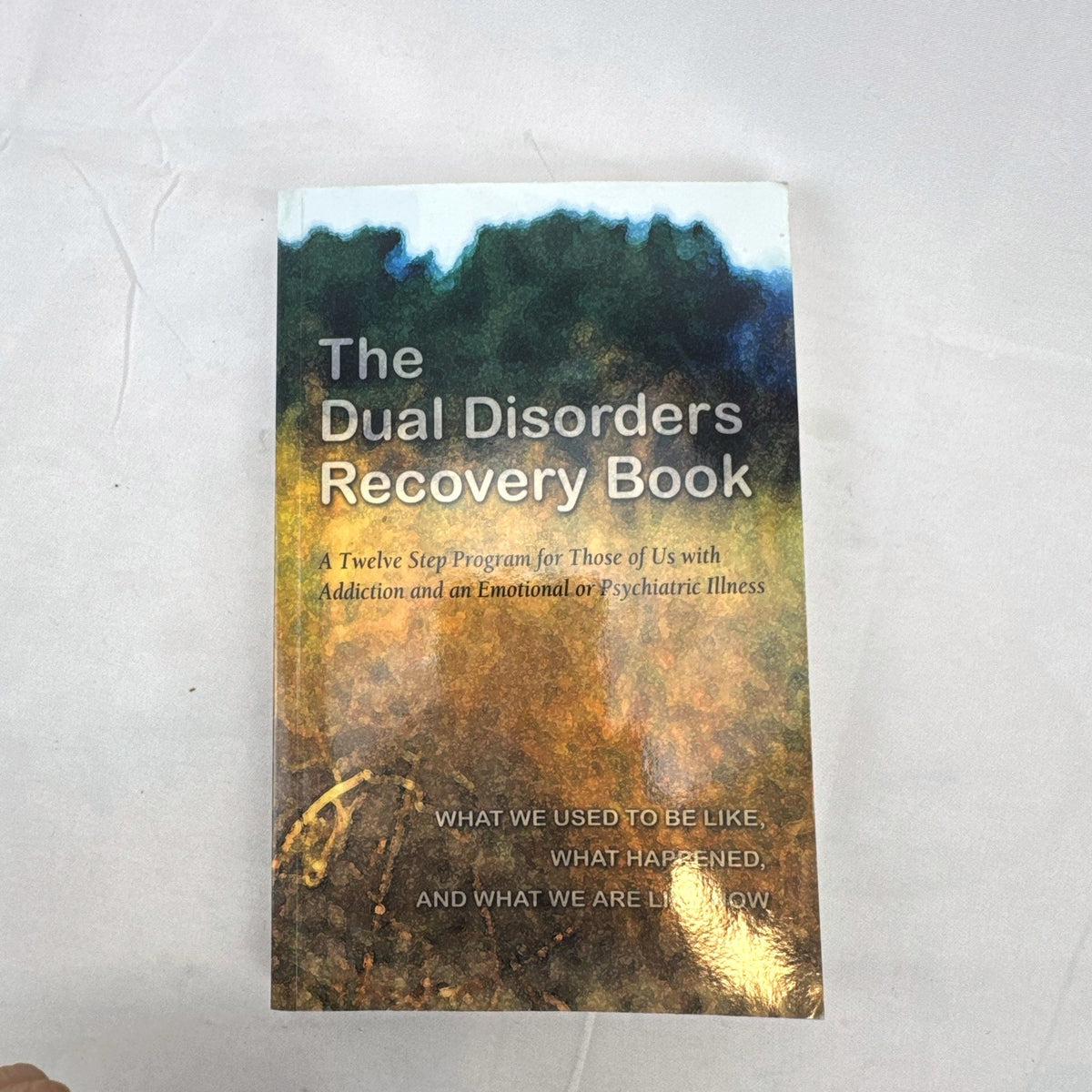 The Dual Disorders Recovery Book Hazelden Publishing 1993 paperback cover