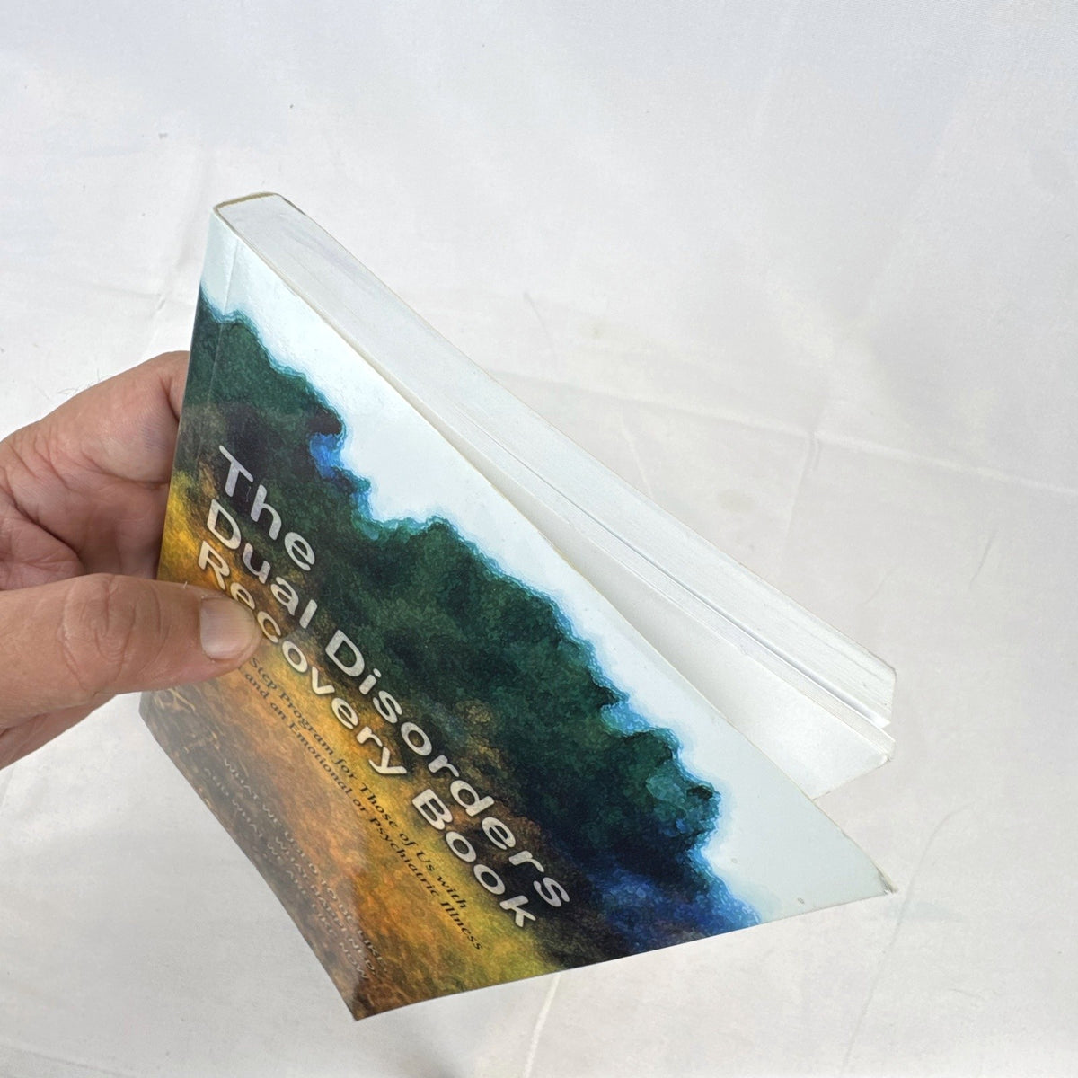 The Dual Disorders Recovery Book Hazelden Publishing 1993 paperback cover