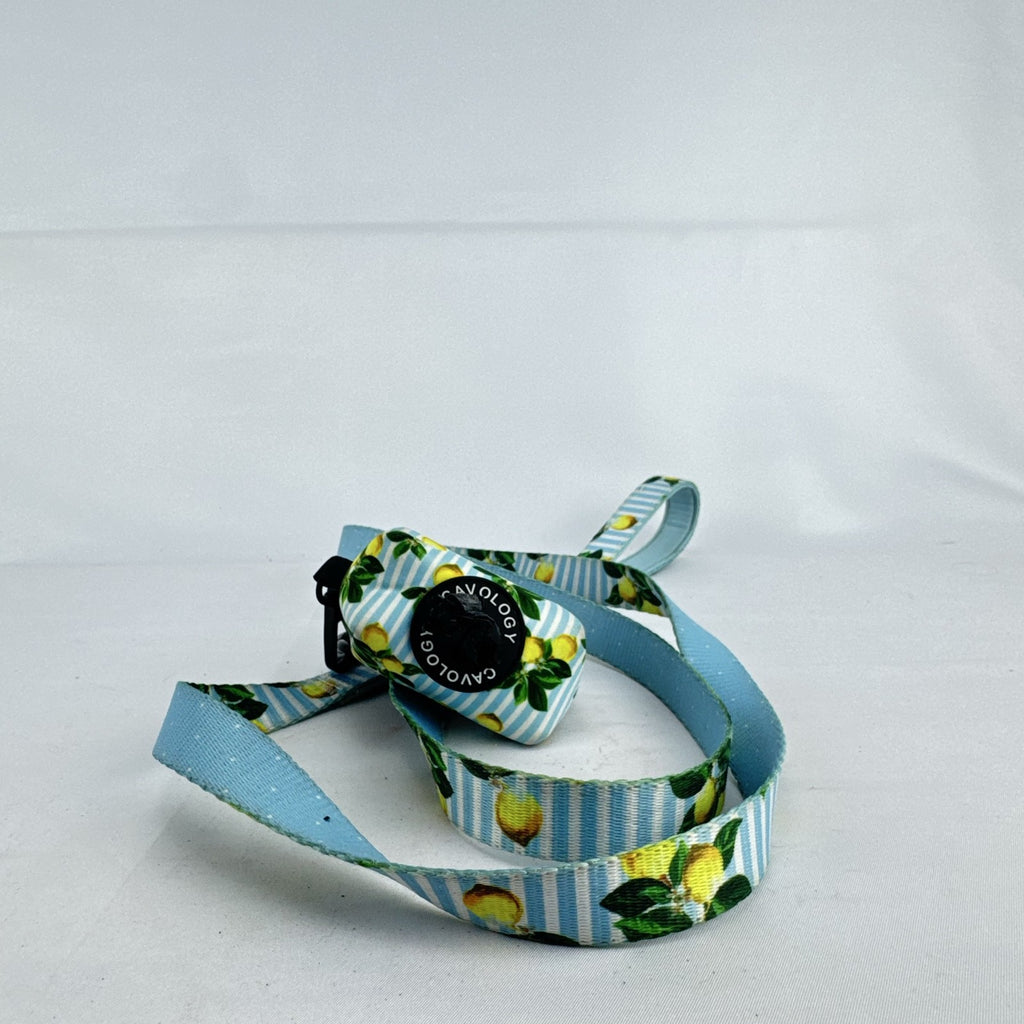 Cavology dog leash and matching zippered waste bag dispenser in yellow lemon and blue stripe pattern