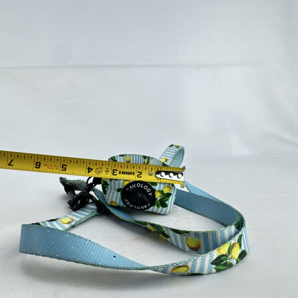 Cavology dog leash and matching zippered waste bag dispenser in yellow lemon and blue stripe pattern