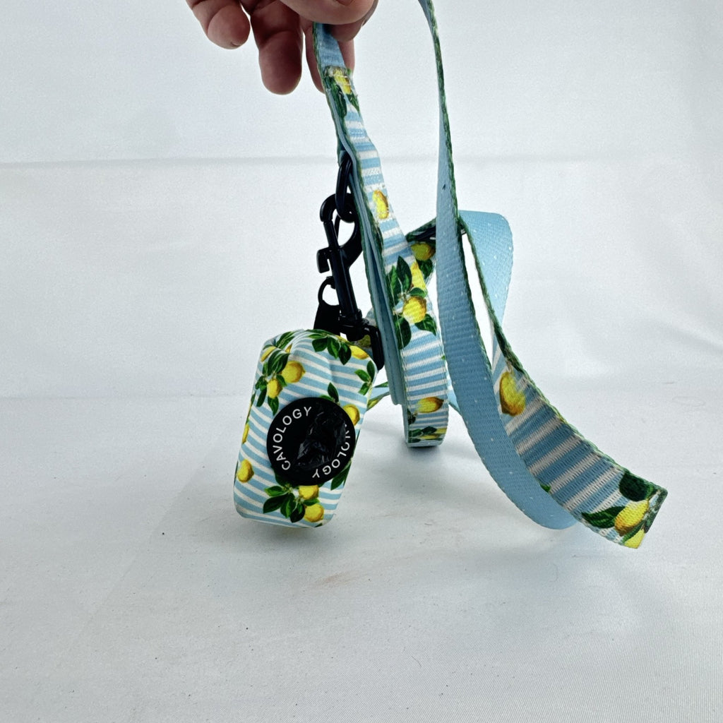 Cavology dog leash and matching zippered waste bag dispenser in yellow lemon and blue stripe pattern