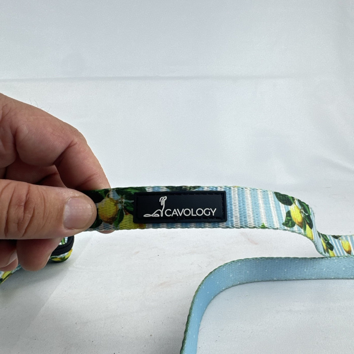 Cavology dog leash and matching zippered waste bag dispenser in yellow lemon and blue stripe pattern