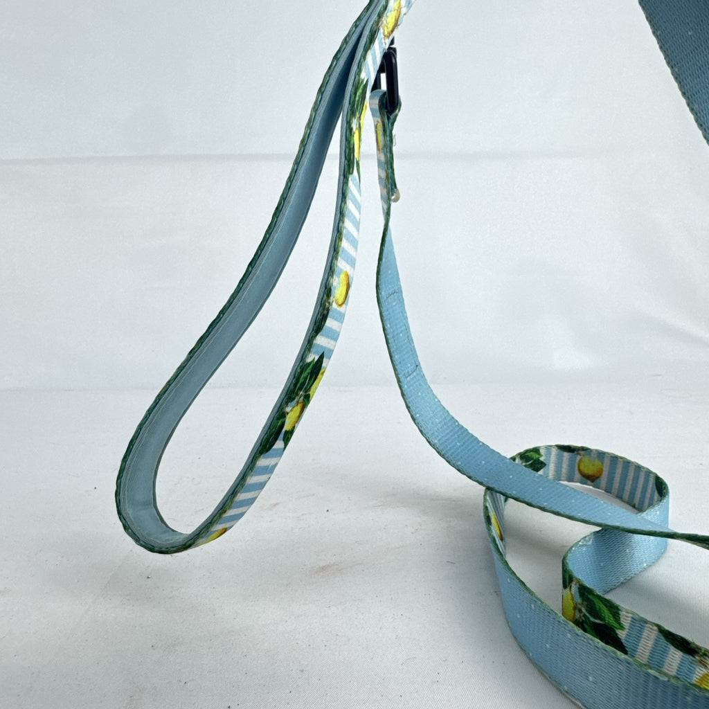 Cavology dog leash and matching zippered waste bag dispenser in yellow lemon and blue stripe pattern