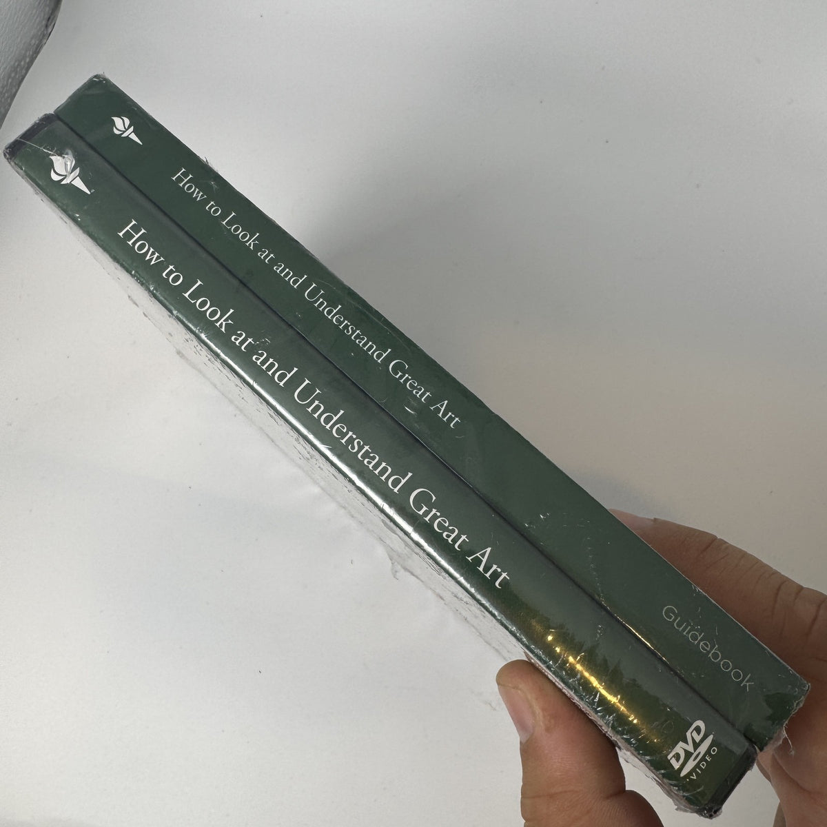 Factory sealed brand new copy of The Great Courses How to Look at and Understand Great Art companion guidebook.